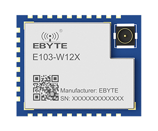 E103-W12X