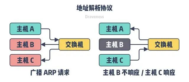 IP地址与MAC地址的关系