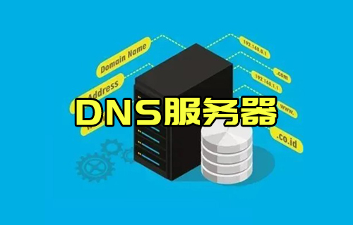 【科普视频】什么是DNS服务器，有什么作用？