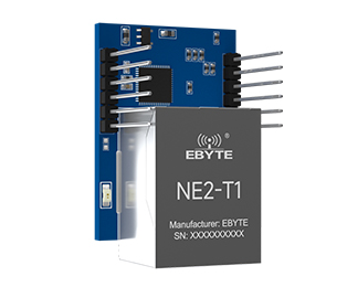 NE2-T1